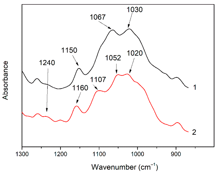 Figure 2: <p>FTIR spectrum of chitosan (1) and the difference spectrum obtained by subtracting the PAA spectrum from the chitosan/PAA copolymer spectrum (2).</p>
