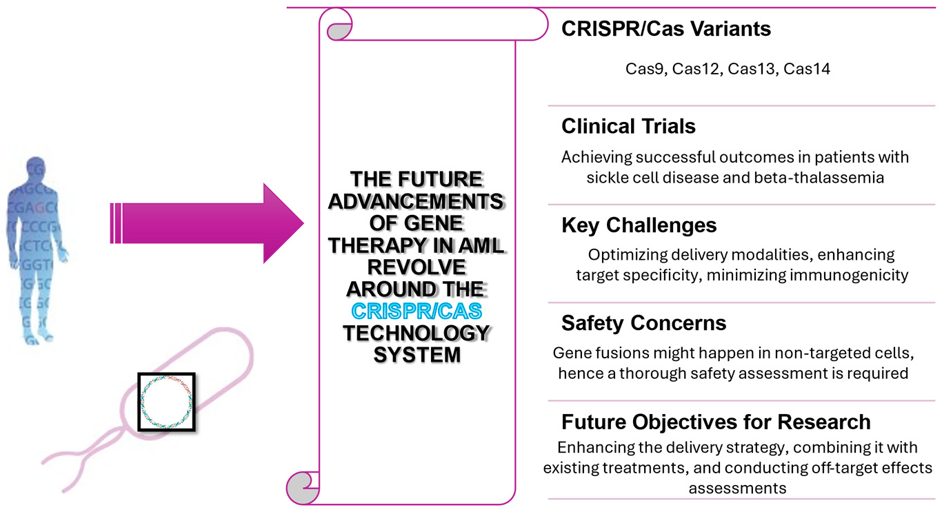 Figure 2: Overview of the future prospects and challenges of CRISPR/Cas9 gene therapy in AML.
