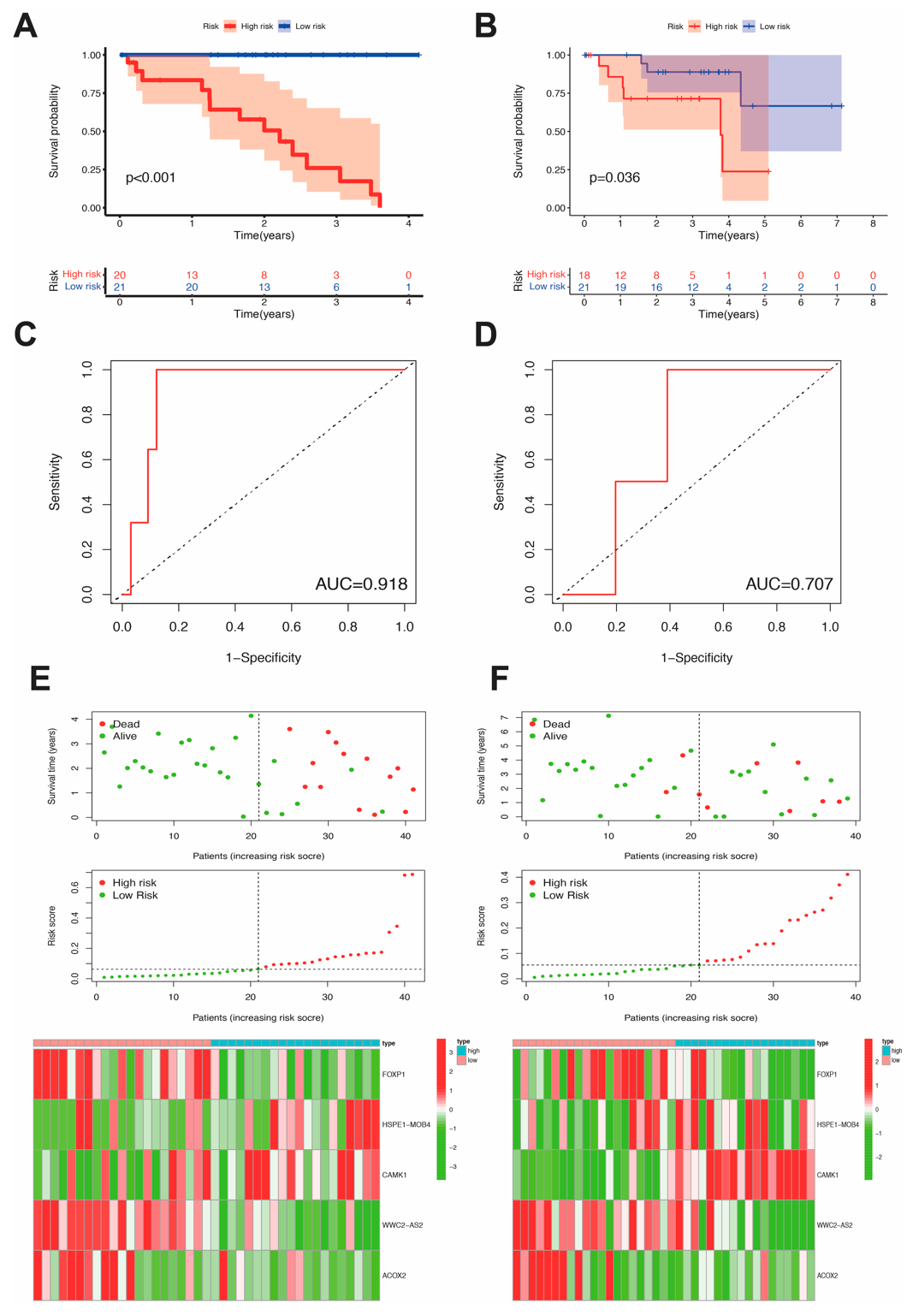 Figure 4: Comparison of prognosis between high- and low-risk groups. (A) The OS of high- and low-risk in training cohort. (B) The OS of high- and low-risk in test set. (C) Receiver operating characteristic curve of training set. (D) Receiver operating characteristic curve in test cohort. (E) Expression levels of 5 prognostic genes in training set. (F) Expression levels of 5 RNAs about test cohort.
