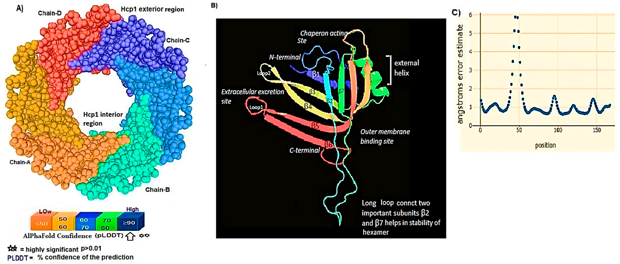 Figure 2: This figure presents the predictions related to Hcp1 chains and their functional binding sites. (A) This section presents the Spacefile predictions for the Hcp1 chains within the T6SS of A. baumannii. The illustration demonstrates the identification of six distinct chains labeled A, B, C, D, E, and F, indicating that the assembly of the Hcp1 homohexamer in A. baumannii is a complex multi-component process. This process requires supplementary elements, including the N-terminal domain of the T6ssK proteins, which play a crucial role in the functioning of Hcp1. Notably, chains E and F are situated on the posterior aspect of the hexamer. (B) The modeling of the Hcp1 monohexamer was executed utilizing PyMOL on the Schr&ouml;dinger platform, revealing a structure characterized by eight &beta;-strands that create a compact &beta;-barrel, alongside a singular &alpha;-helix and an extended loop. These structural predictions originate from AlphaFold2 (AF2) analyses and were visualized using PyMOL within the Schr&ouml;dinger suite. (C) A depiction of the alterations in angstrom error related to the dihedral angles of amino acid side chains and their configurations that are essential for binding to the effector molecule. The conformational adjustments were examined using the RoseTTAFold program, which employs deep learning AI technology. The peak observed in the graph signifies fluctuations in dihedral angles at position 50 upon effector binding, providing an estimation of the model&rsquo;s minimum error.