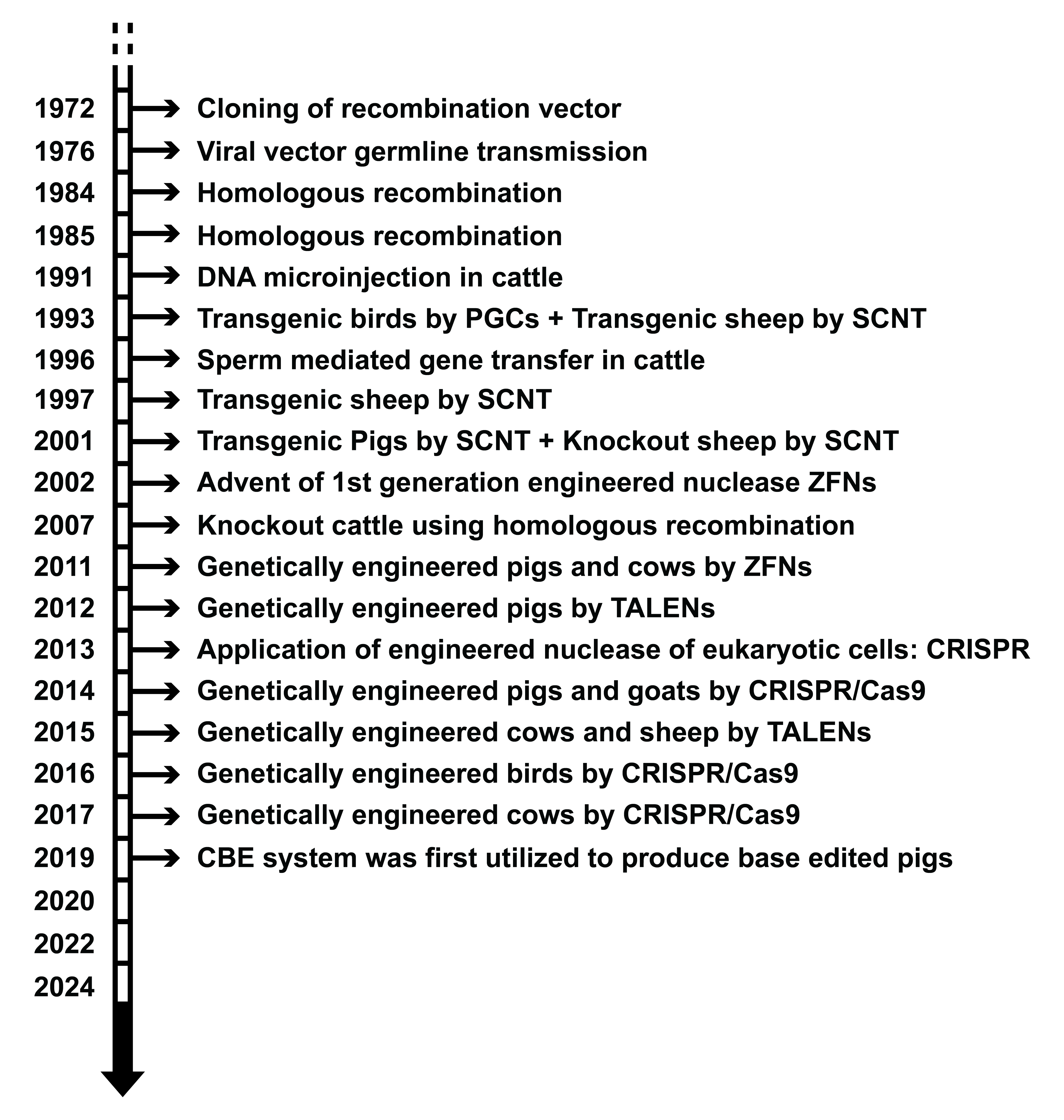 Figure 1: Time scale-based evolutionary landmarks in constructing genetically engineered animals and the significant roles of advancement of genome editing systems. CRISPR: Clustered regularly interspaced short palindromic repeats; CBE: Cytosine base editor; PGCs: Primordial germ cells; SCNT: Somatic cell nuclear transfer; TALENs: Transcription activator-like effector nuclease; ZFNs: Zinc-finger endonucleases. Source: [3,19,22,23,24].
