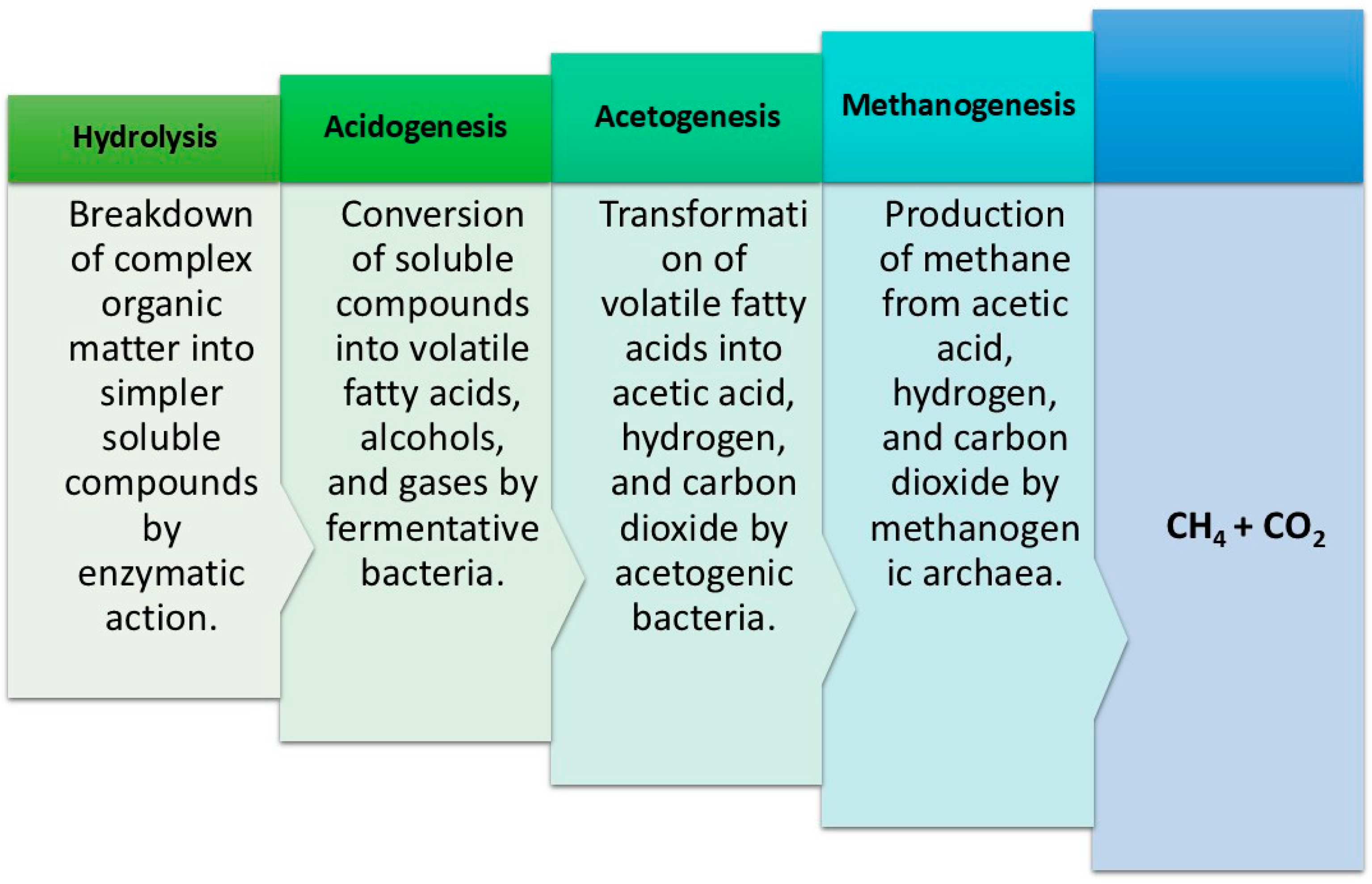 Figure 5: Showcasing stepwise anaerobic digestion.