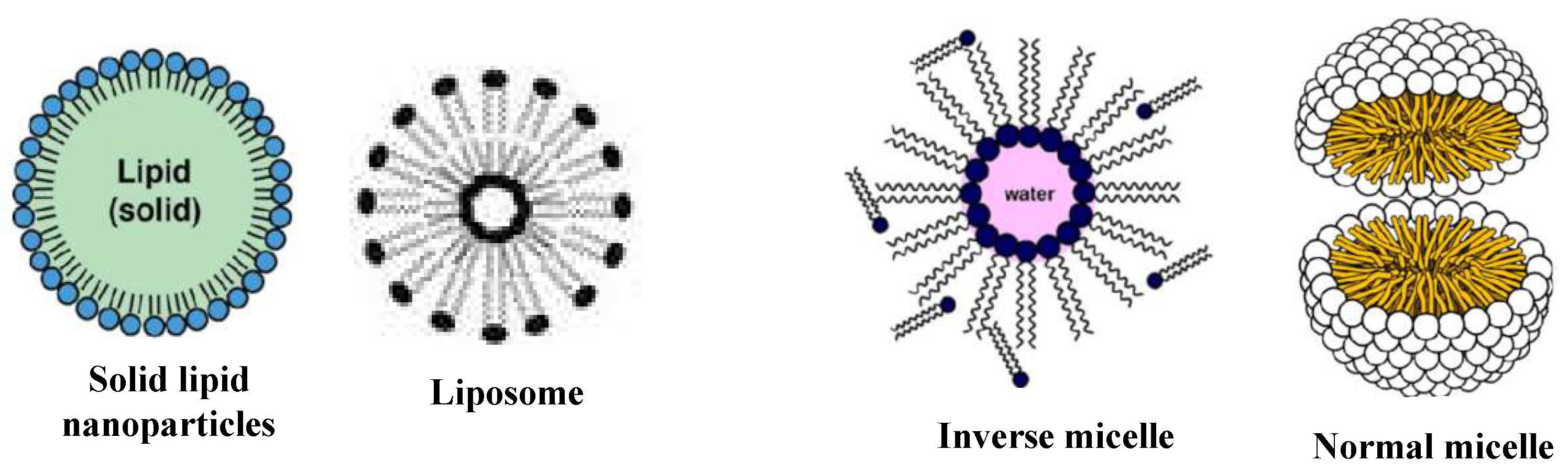 Figure 6: Numerous lipid-based NMs.