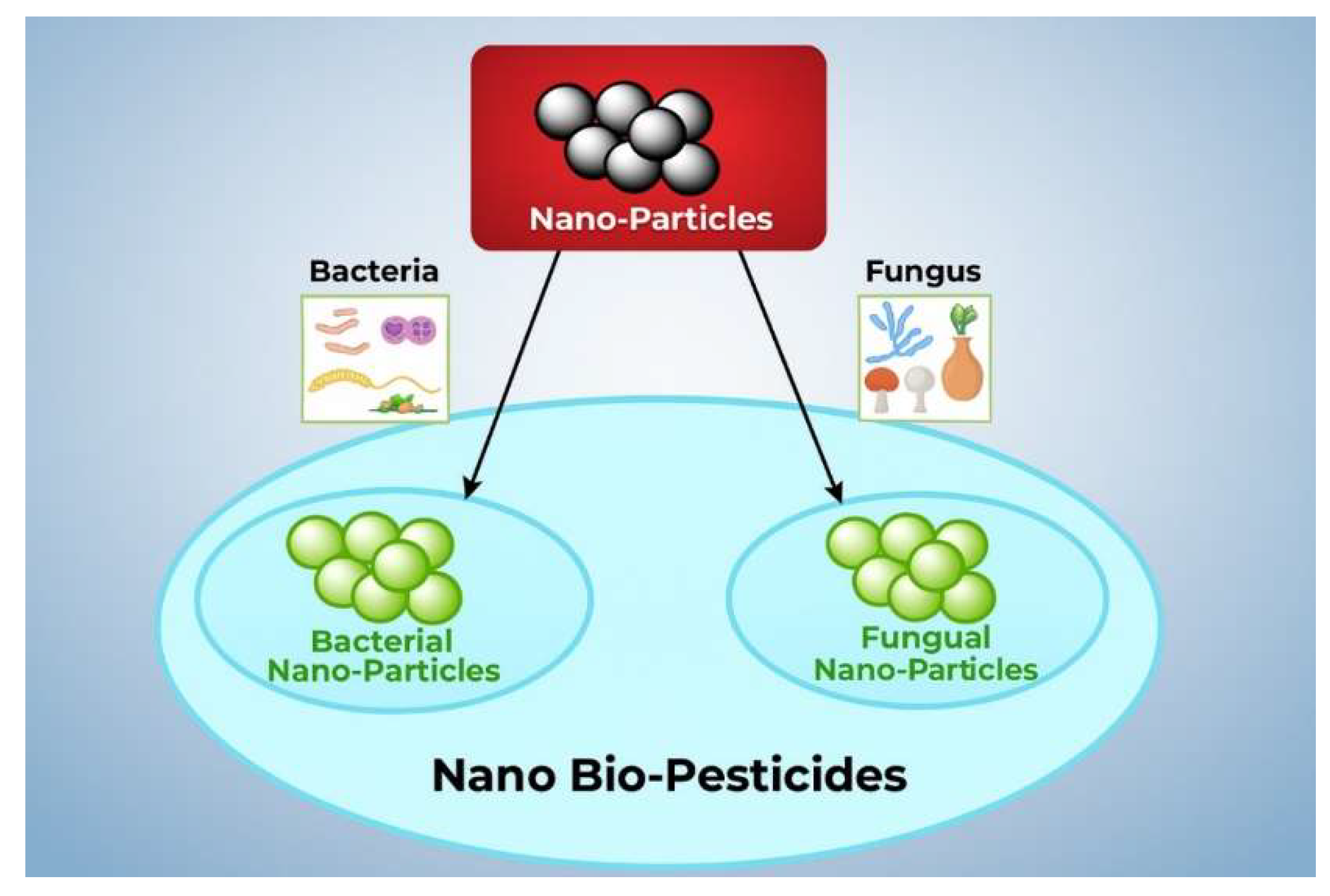 Figure 10: Nano-biopesticides formed from NMs with bacteria and fungi.