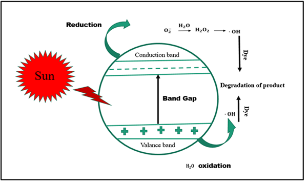 Figure 7: Mechanism of photocatalytic dye degradation.